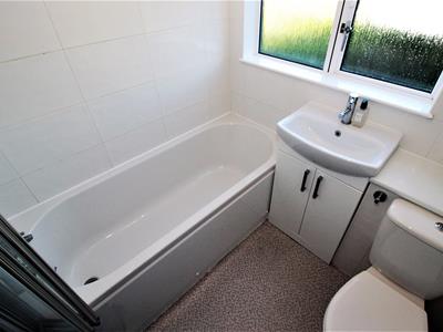 Picture 13